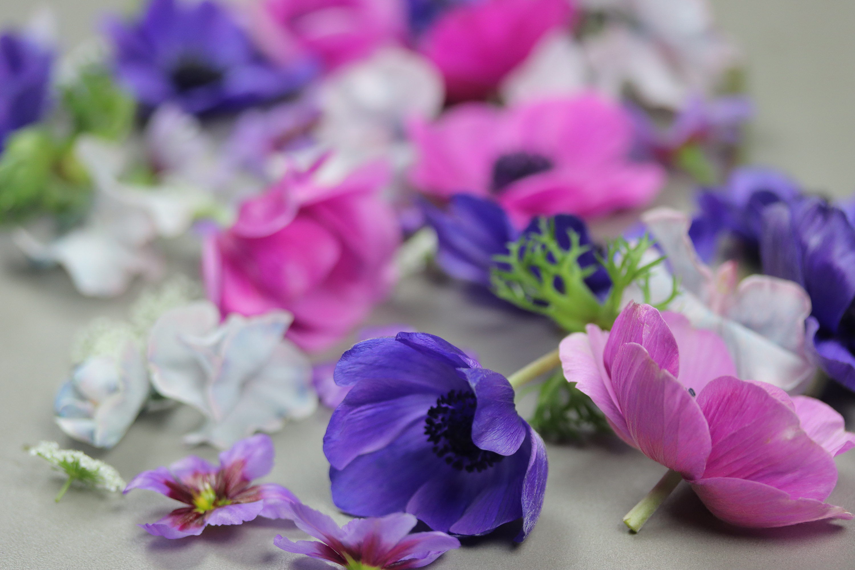 『手塩にかけた花仕事』