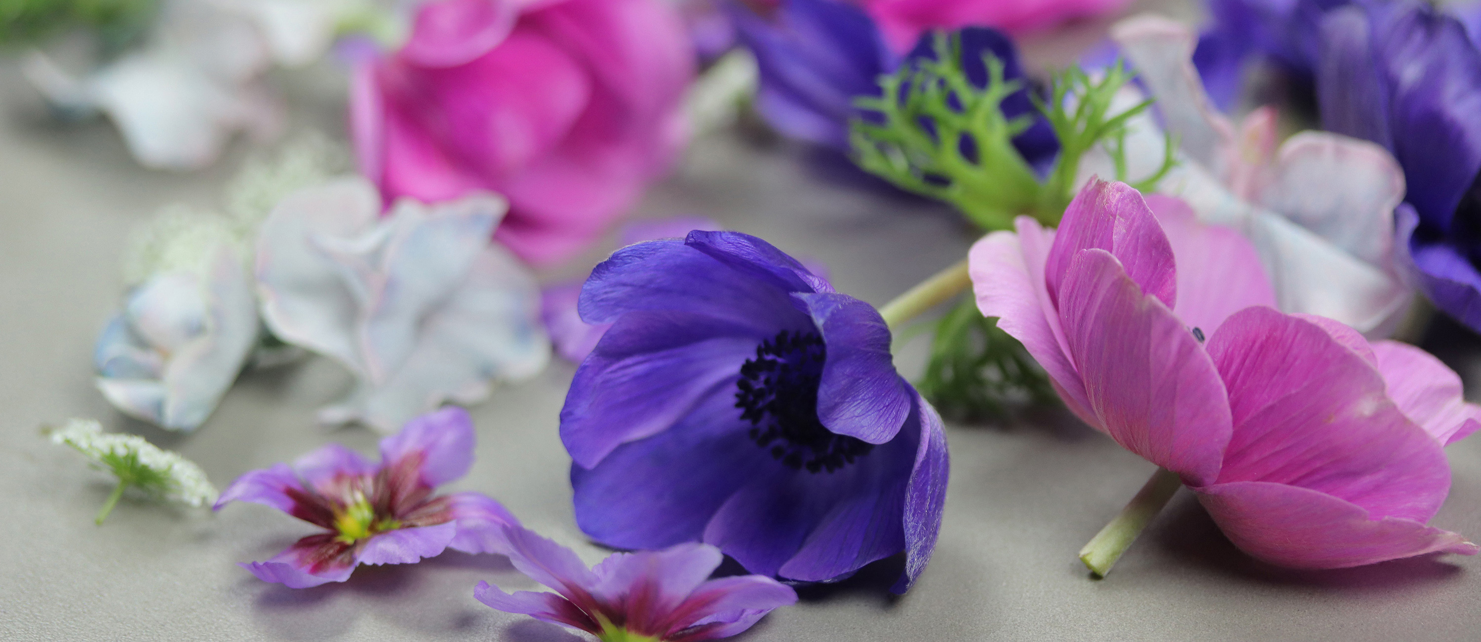 『手塩にかけた花仕事』